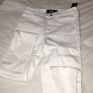 Hollister Pants